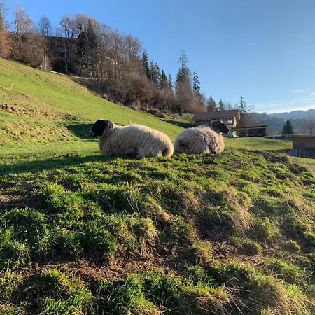 Сasa de vacaciones Felsli By Interhome