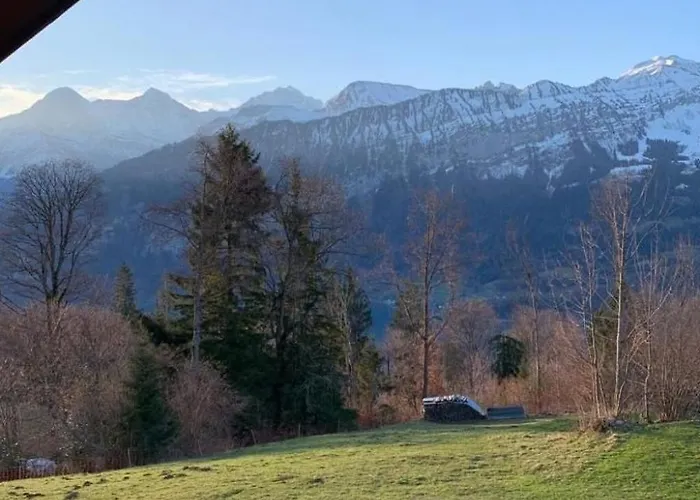 Casa de Férias Felsli By Interhome Beatenberg