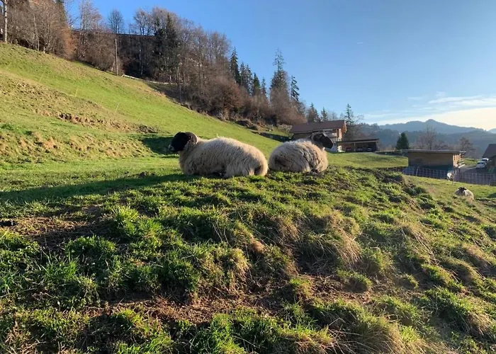 Casa de Férias Felsli By Interhome